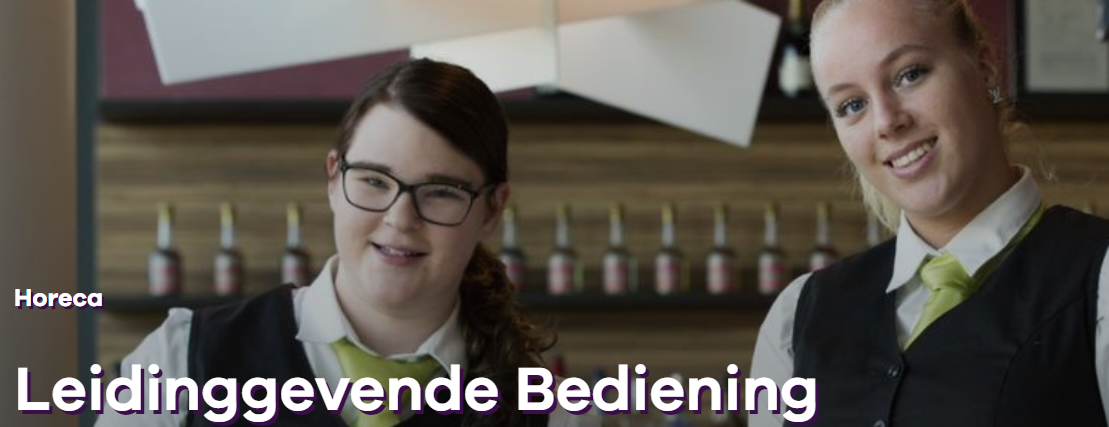 Leidingevende_bediening.PNG